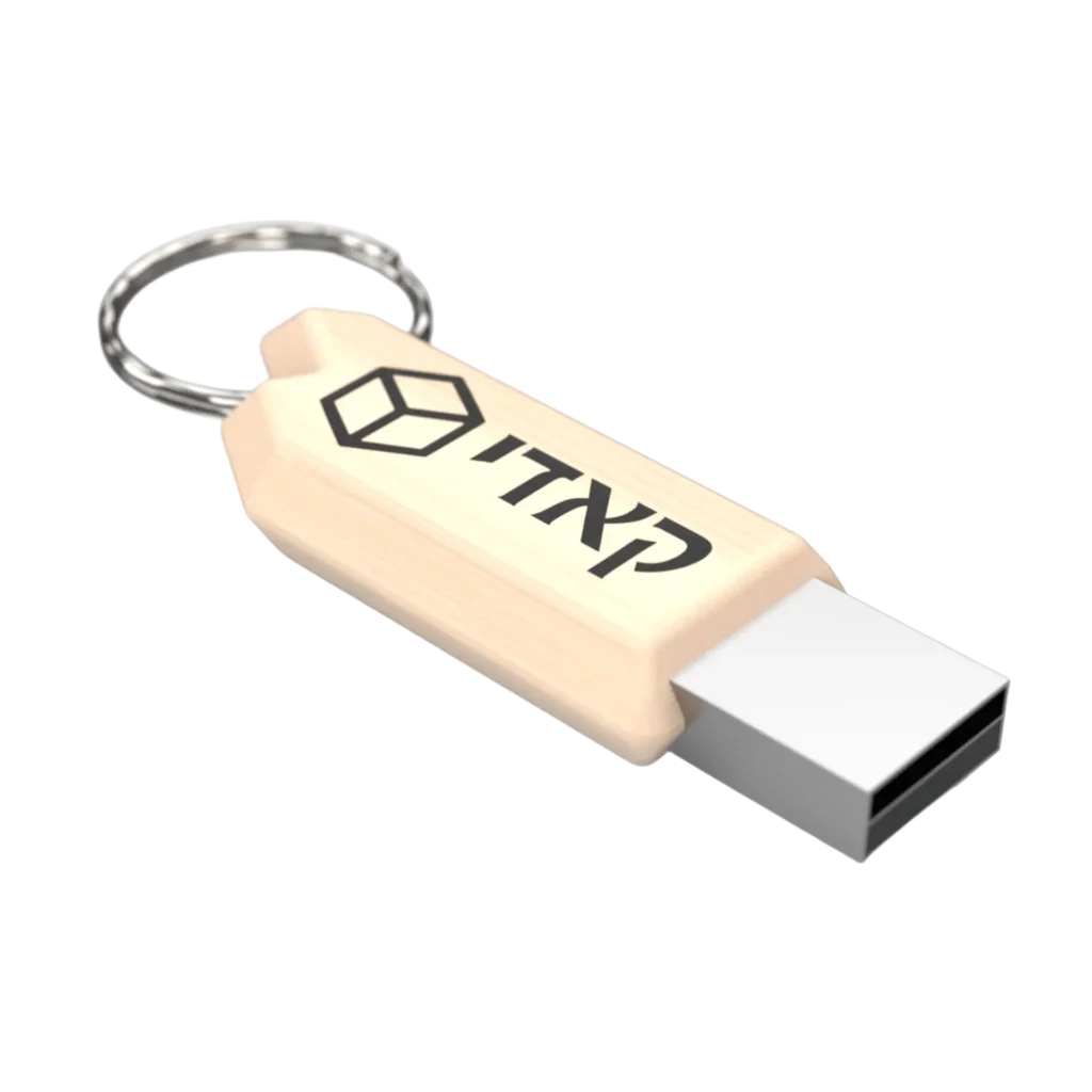 כרטיס זיכרון USB ממותג